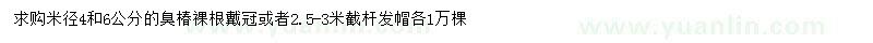 求購(gòu)米徑4、6公分臭椿