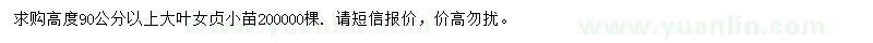 求購高90公分以上大葉女貞小苗