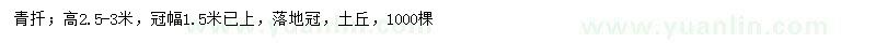 求購(gòu)高2.5-3米青扦