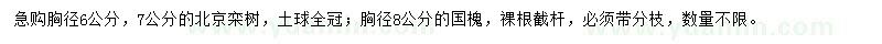 求購胸徑6、7公分北京欒樹、8公分國槐