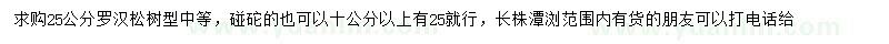 求購(gòu)25公分羅漢松