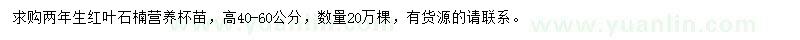 求購高40-60公分紅葉石楠小苗