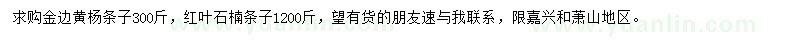 求購金邊黃楊條子、紅葉石楠條子