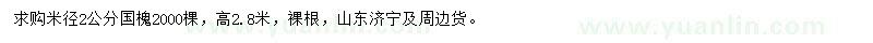 求購米徑2公分國槐