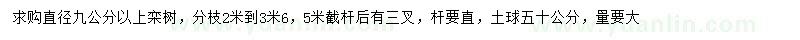 求購9公分以上欒樹