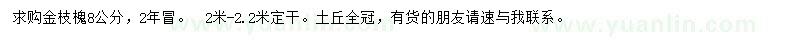 求購8公分金葉槐