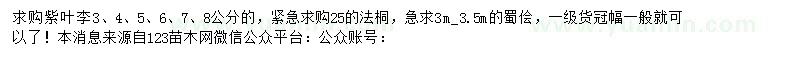 求購紫葉李、法桐、蜀檜