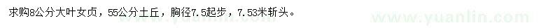 求購8公分大葉女貞