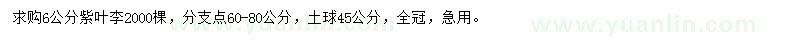 求購(gòu)6公分紫葉李