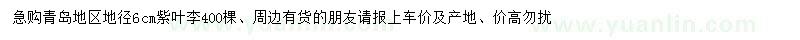 求購地徑6公分紫葉李