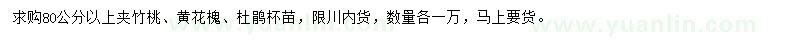 求購?qiáng)A竹桃、黃花槐、杜鵑杯苗