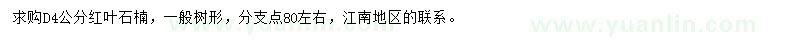 求購地徑4公分紅葉石楠