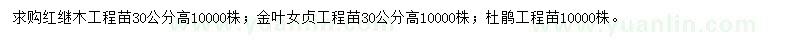 求購紅繼木、金葉女貞、杜鵑