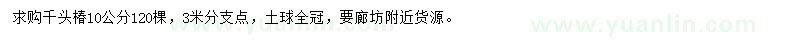 求購10公分千頭椿