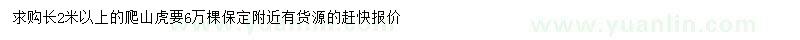 求購(gòu)2米以上爬山虎
