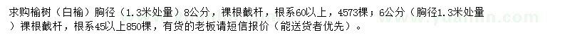 求購榆樹（白榆）