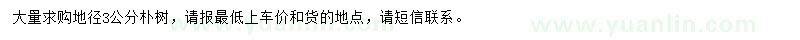 求購地徑3公分樸樹