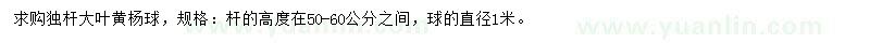 求購獨桿大葉黃楊球
