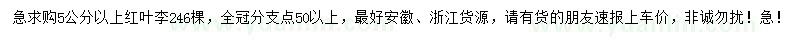 求購(gòu)5公分以上紅葉李
