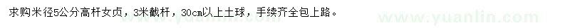 求購米徑5公分高桿女貞
