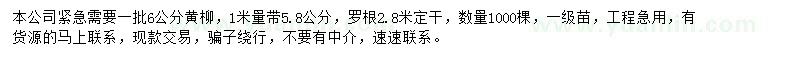 求購6公分黃柳