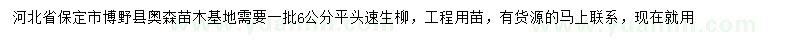 求購6公分平頭速生柳
