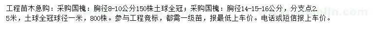 求購國槐