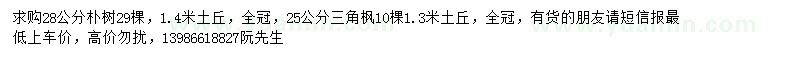 求購28公分樸樹、25公分三角楓