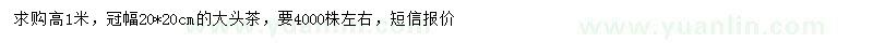 求購(gòu)高1米大頭茶