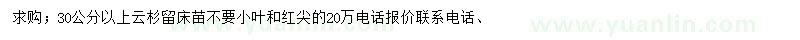 求購高30公分以上云杉小苗