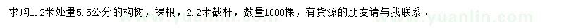 求購1.2米處量5.5公分構樹