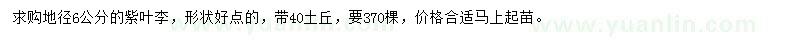 求購地徑6公分紫葉李
