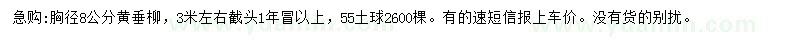 求購胸徑8公分黃垂柳