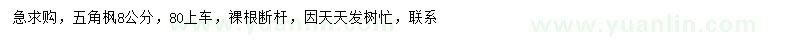 求購8公分五角楓