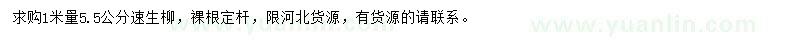求購1米處量5.5公分速生柳