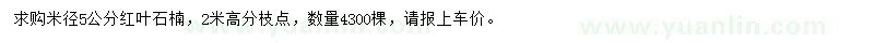 求購米徑5公分紅葉石楠