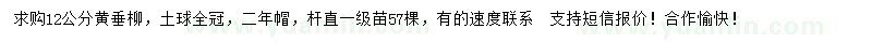 求購12公分黃垂柳