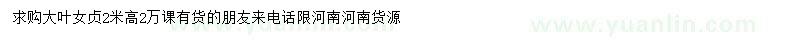 求購(gòu)高2米大葉女貞