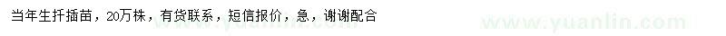 求購紅花繼木小苗