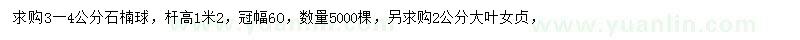 求購3-4公分石楠球、2公分大葉女貞