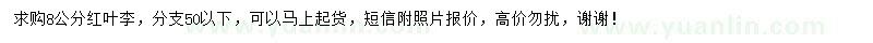 求購8公分紅葉李