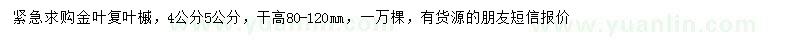 求購4、5公分金葉復葉槭樹