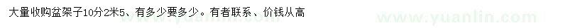 求購10公分盆架子