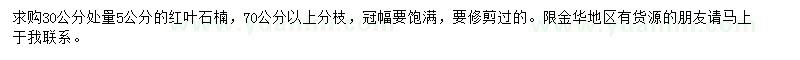 求購30公分處量5公分紅葉石楠