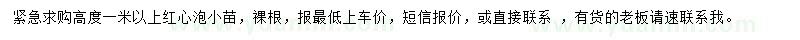 求購(gòu)高1米紅心泡小苗