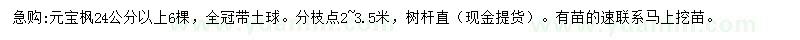 求購24公分以上元寶楓