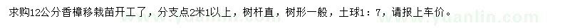 求購12公分香樟