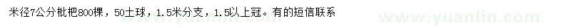 求購米徑7公分枇杷