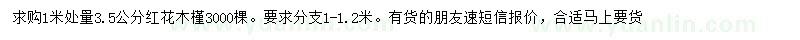 求購1米量3.5公分紅花木槿