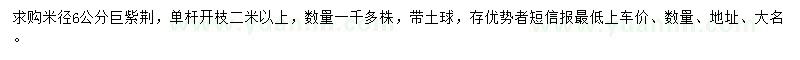 求購米徑6公分巨紫荊